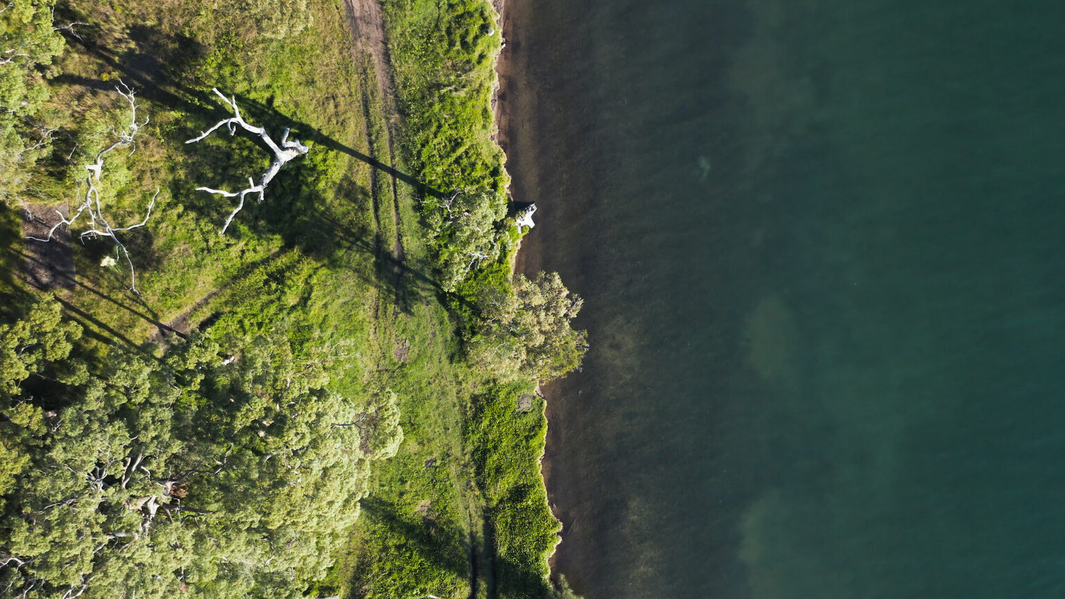 Why Sylvia Waters? Division